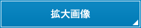 拡大画像