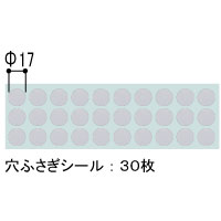 ӂV[30 (a17~)